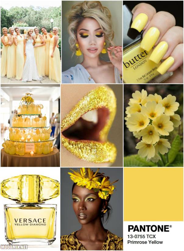 Модные цвета - Primrose Yellow (Желтая примула) - фото 2